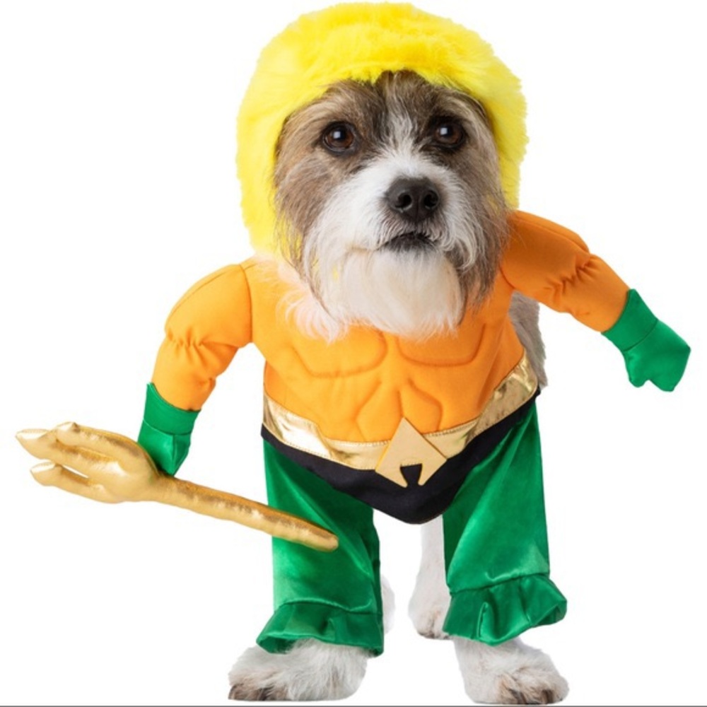 NWT DC Justice League Aquaman Illusion Dog Costume Size Large